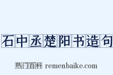石中丞楚阳书造句是什么意思的图片